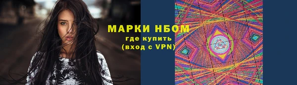 гидра Надым