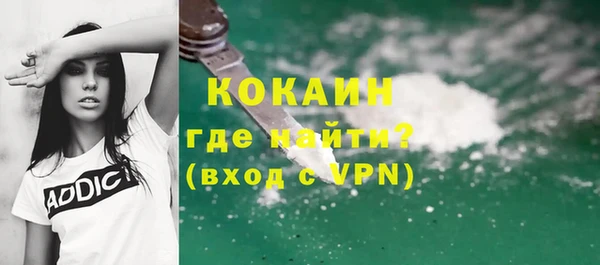 гидра Надым