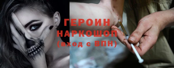 гидра Надым