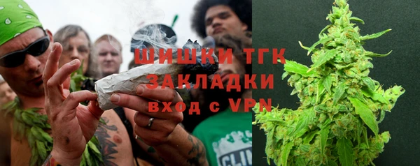 гидра Надым